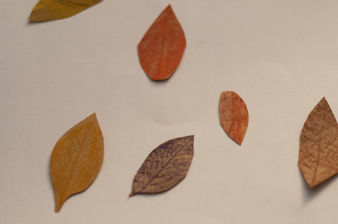 Kids can finish 6-10 leaves of different colors