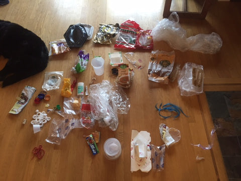 My 2-Week Collection of Plastic Garbage