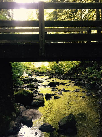 Sunlit River