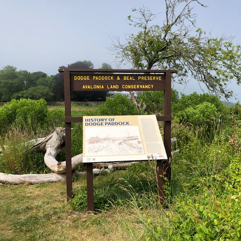 The Dodge Paddock and Beal Preserve