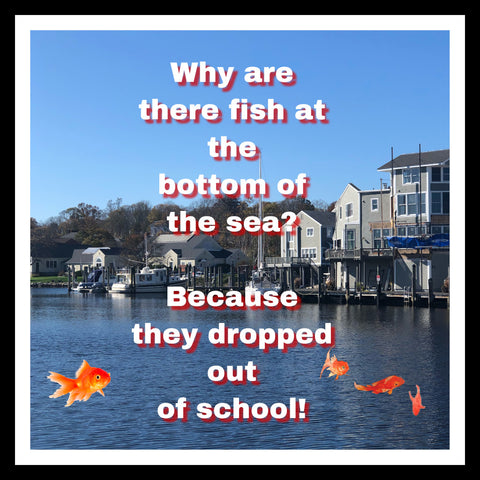 why are fish at the bottom of the sea? because they dropped out of school