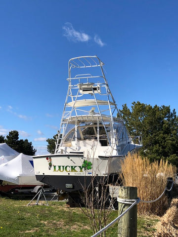 Lucky in the quiet boat yard