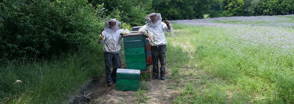 Rural bee keeping, raw honey making