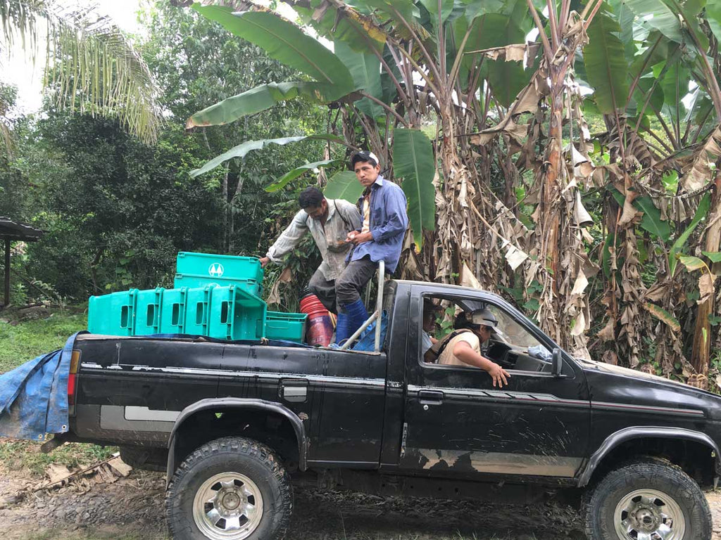 Sourcing Season: Breaking Barriers in Bolivia | a truckload of cacao beans in bolivia