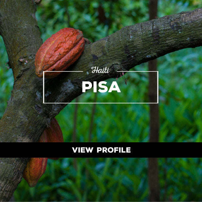 Taza Chocolate Sourcing Partner: PISA Partner Profile, Haiti