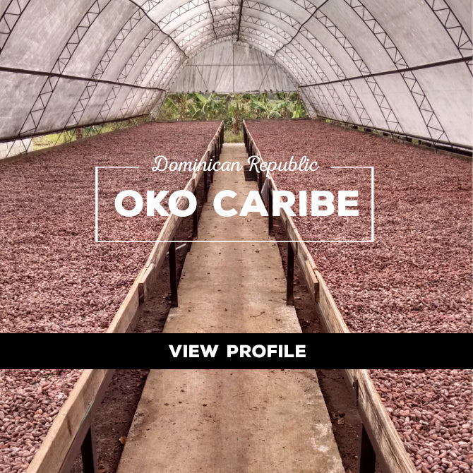 Taza Chocolate Sourcing Partner: OKO Caribe Partner Profile, Dominican Republic