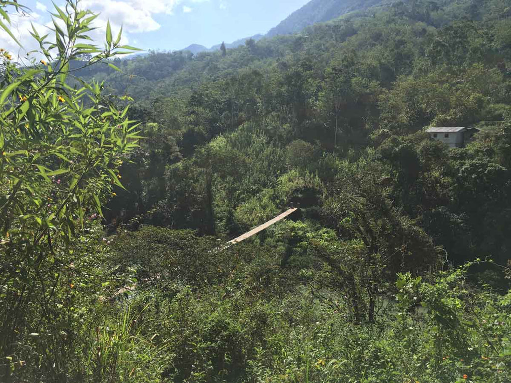 Snapshots From Sourcing Season: Guatemala | First stop: the Guatemalan farming community of San Juan de Asochivite. Only access: the bridge.