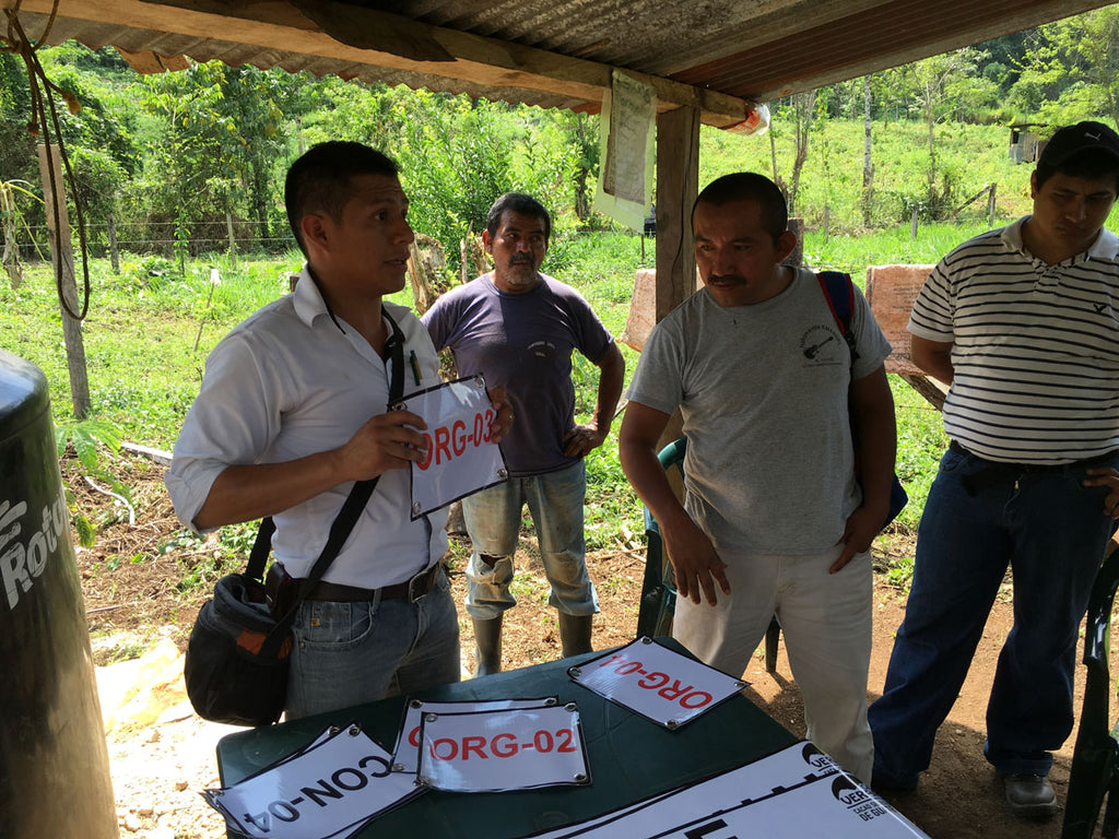 Marlon Ac, the Managing Director of Cacao Verapaz, explains to farmers how to ensure that organic cacao beans are kept apart from conventionally grown ones.