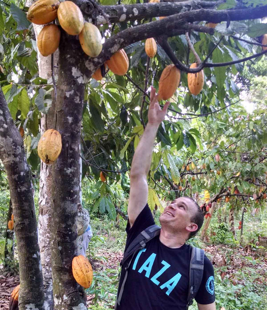 Taza Chocolate's sourcing manager, Jesse Last, reaches for a cacao pod.