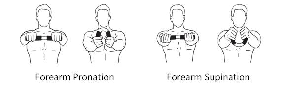 Training_Forearm_Pronation_Supination