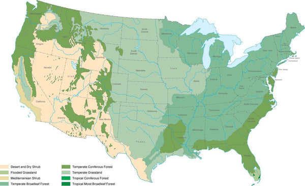 Digital USA Biome map in Adobe Illustrator vector format