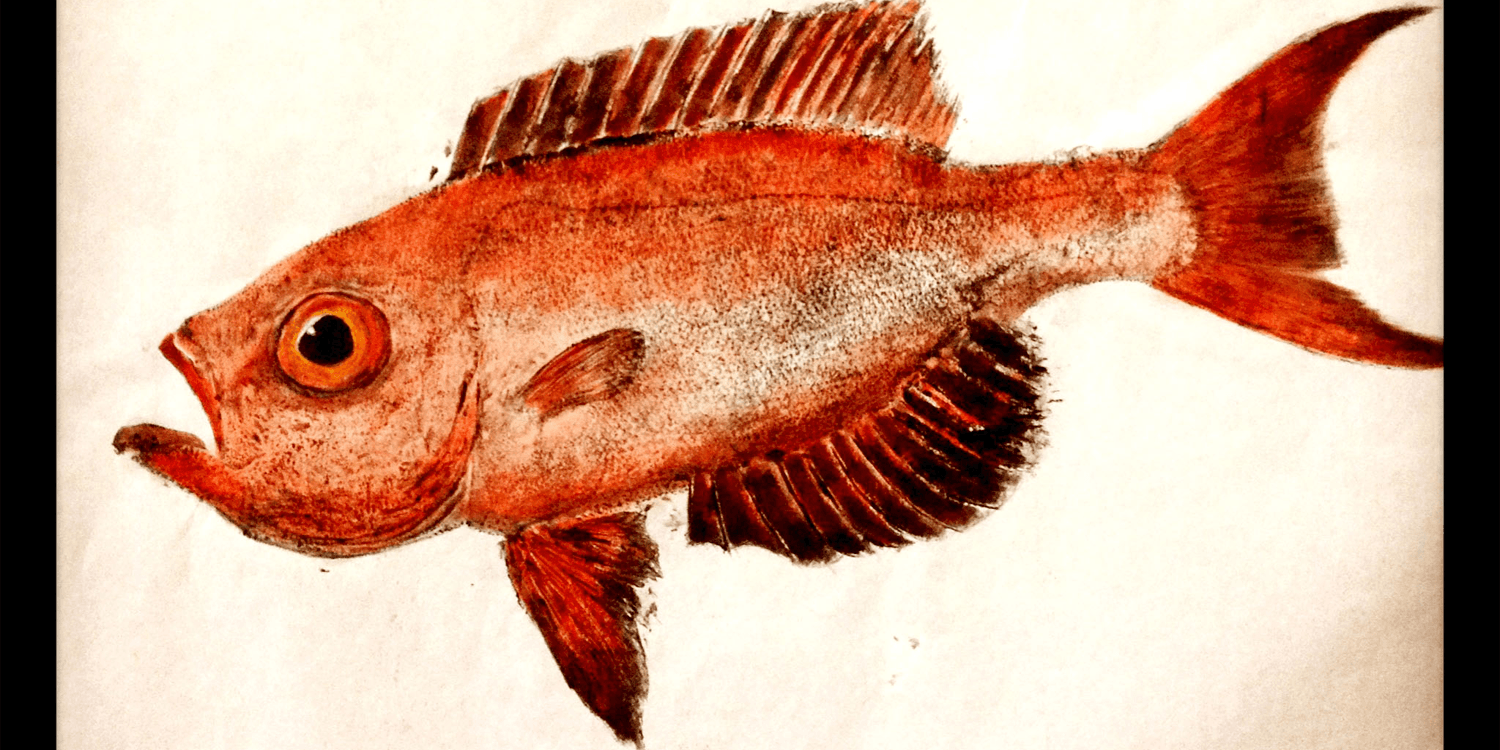Print My Fish Red Fish