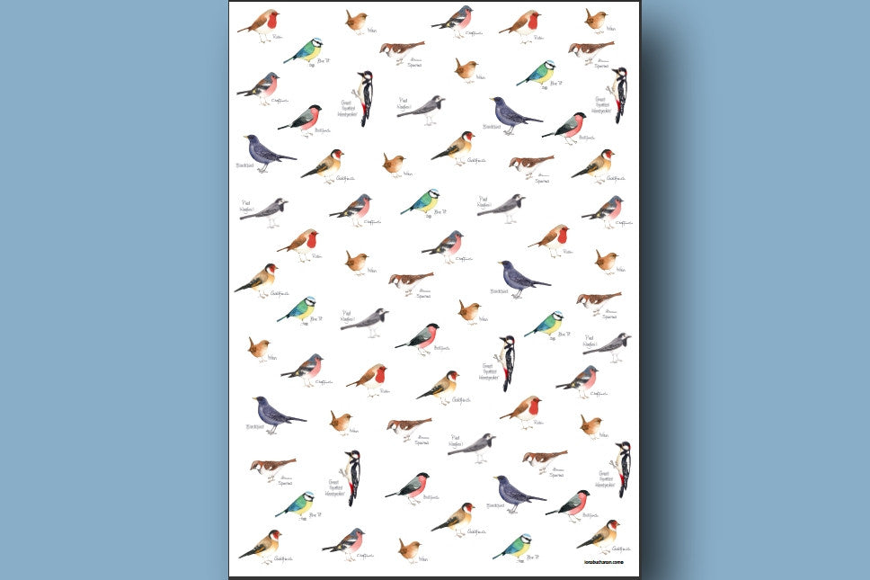 Wrapping paper with garden bird design