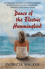 Dance of the Electric Hummingbird