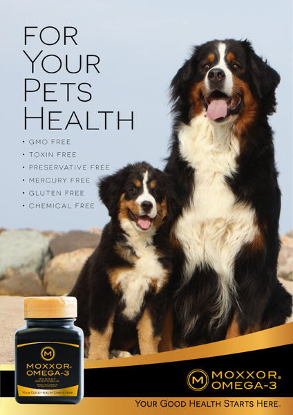 For Your Pets Health
