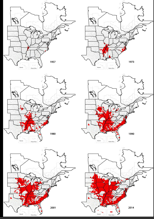 Map depicting the spread of Soybean Cyst Nematode