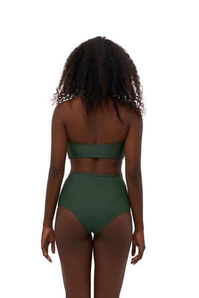 plain high waisted bikini bottoms