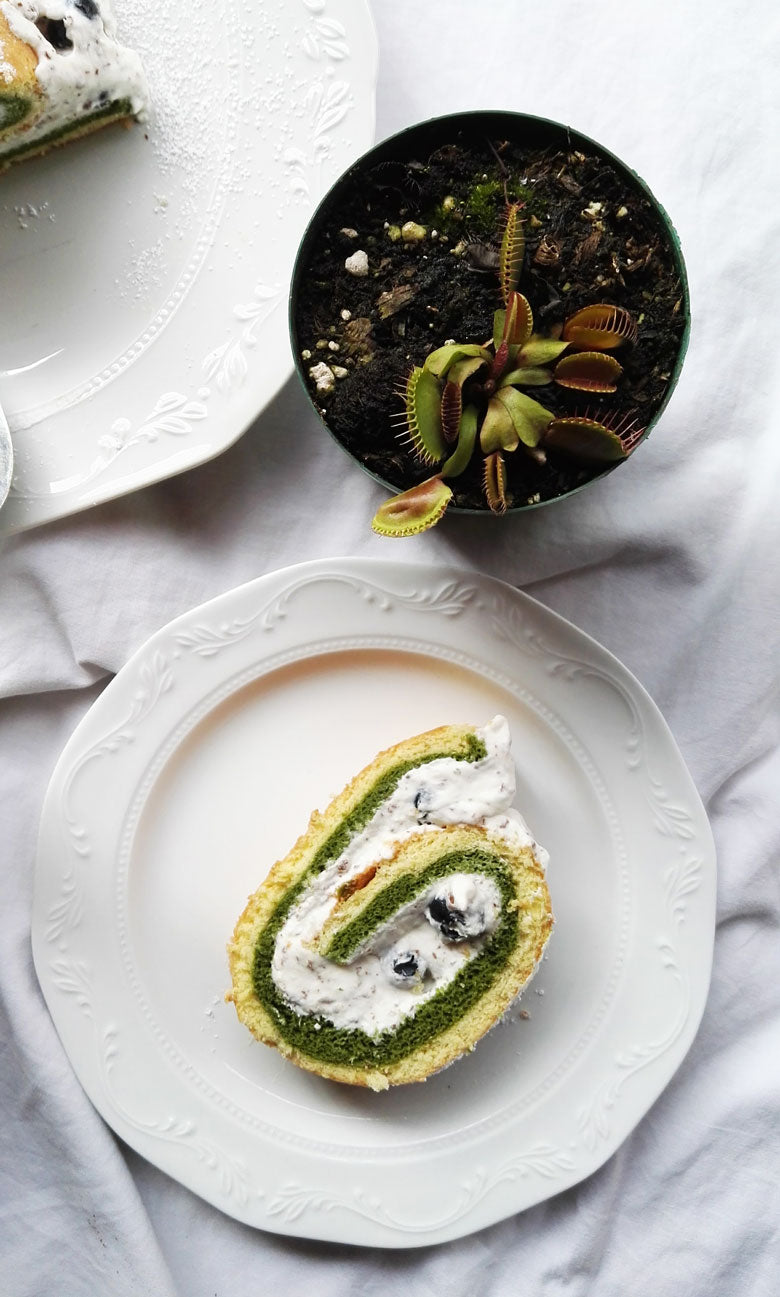 Blueberry Matcha Swiss Roll Cake