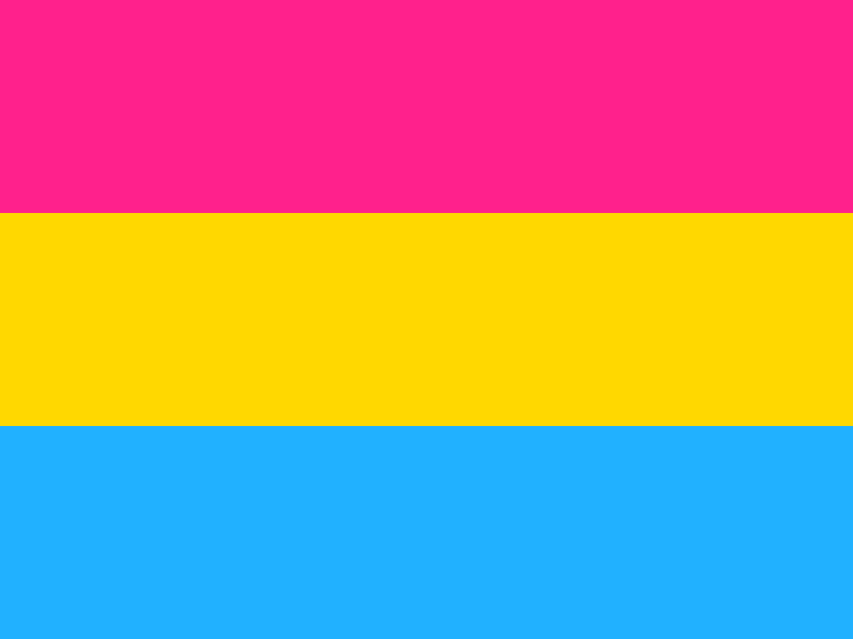 Pansexual Flag For Lgbt Rosy Rainbow 4854