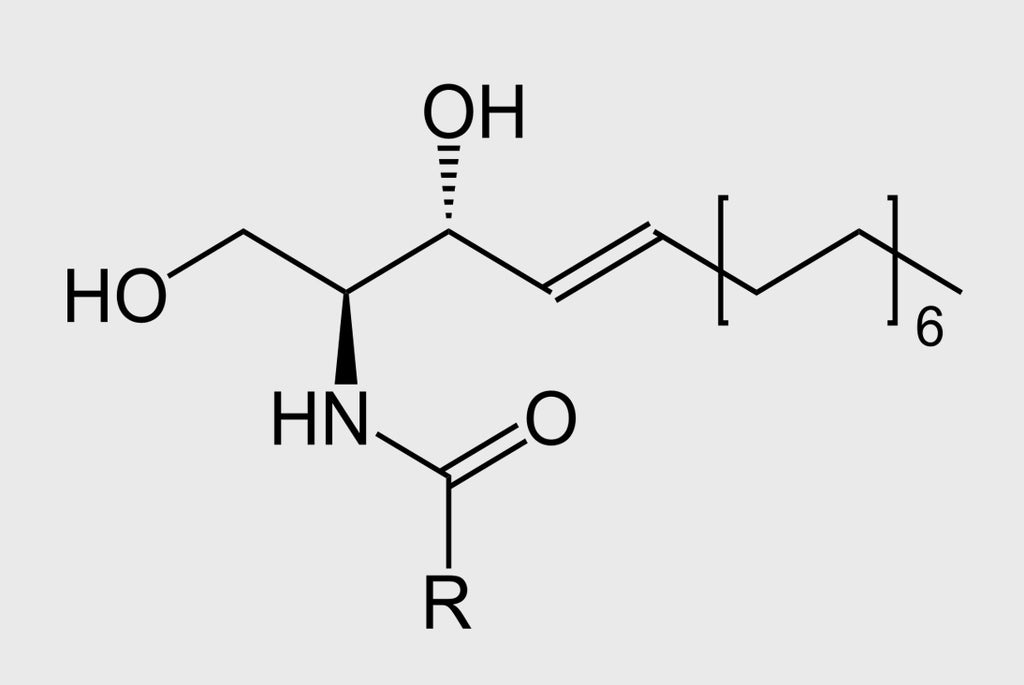 Ceramide