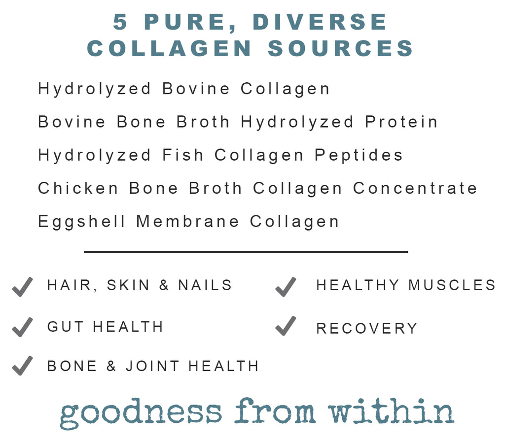 collagen protein