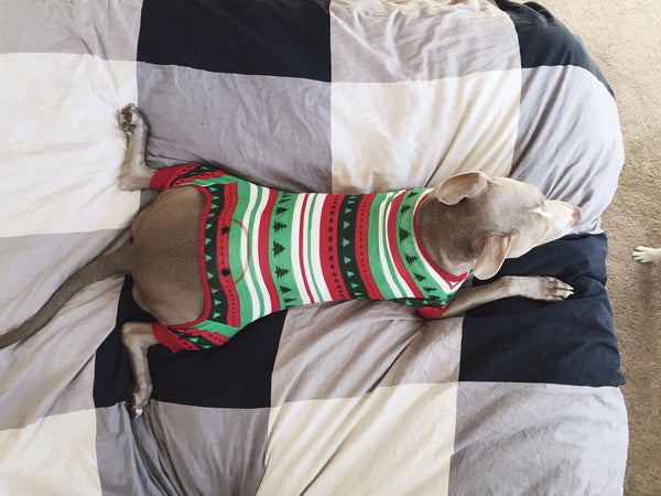 weimaraner pajamas