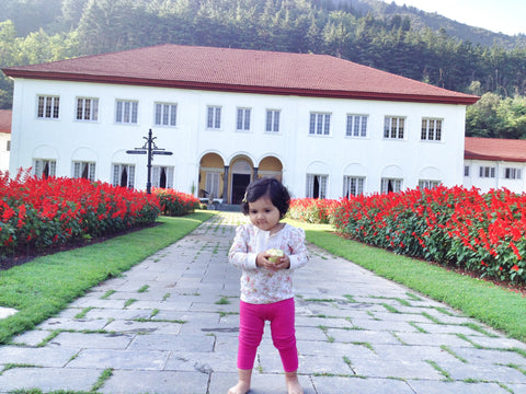 grand palace with baby running the lalit srinagar