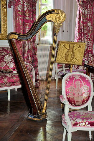 Harp in Music Room, versailles