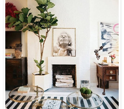 oversized plants in cute modern apartment. vintage cool style. boho chic. 