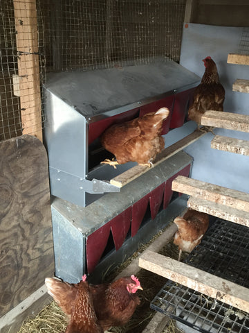 Double stacked roll out nest boxes