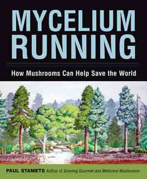 Mycelium Running How Mushrooms Can Help Save The World By Paul Stamets