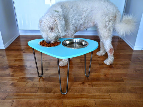 DIY raised dog bowl stand