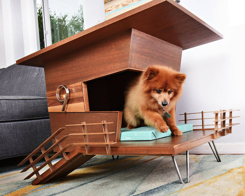 Dog furniture