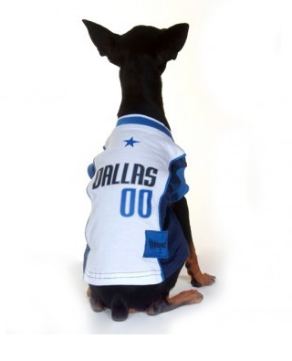 nba dog jersey