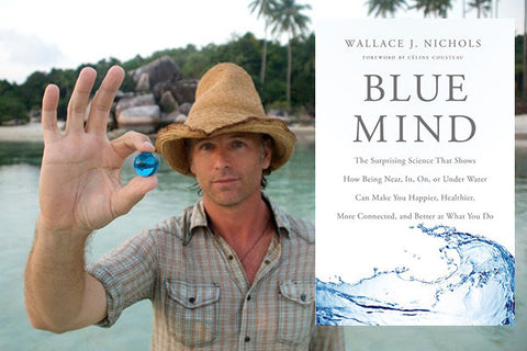 Blue Mind books for surfers