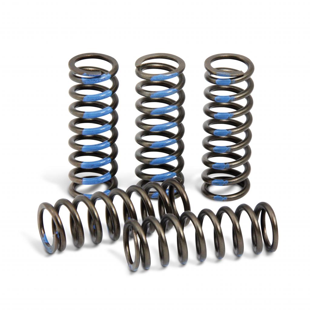 Pro Circuit High Performance Clutch Springs 2014-18 Yamaha YZ250F | CSY14250-CS