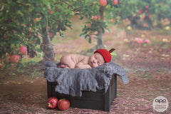 Apple orchard photo background