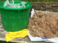 Washing Alpaca Fibre/Fleece