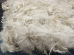 White alpaca fibre