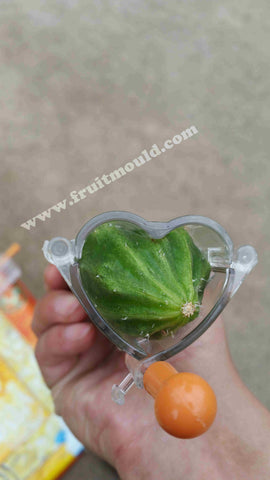 heart cucumebr  shaped on the molds