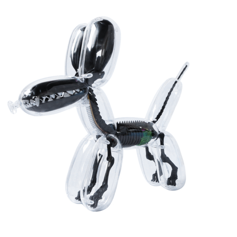 jason freeny balloon dog anatomy