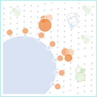 Protein_hydrophobic interaction chromatography