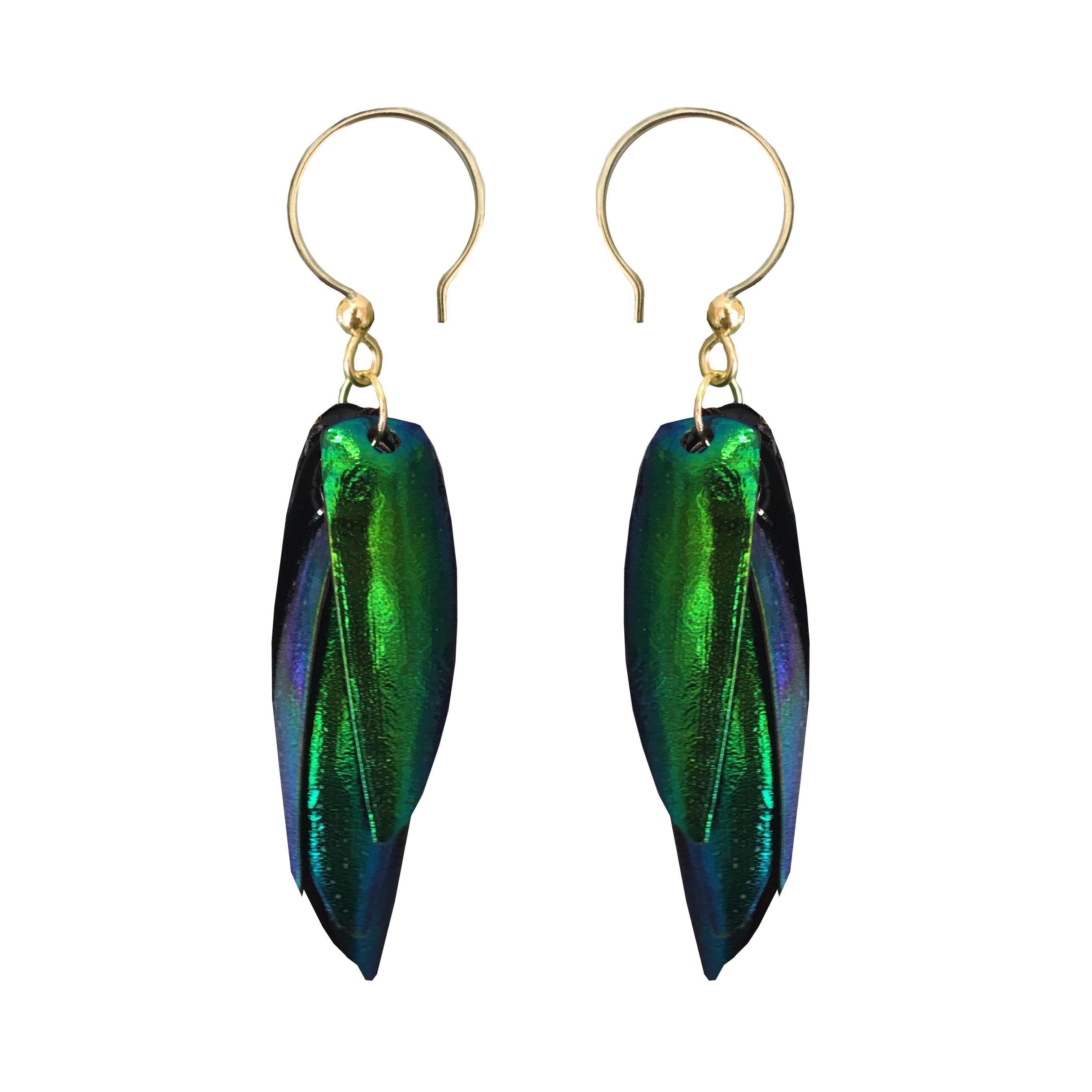 jewel beetle earrings