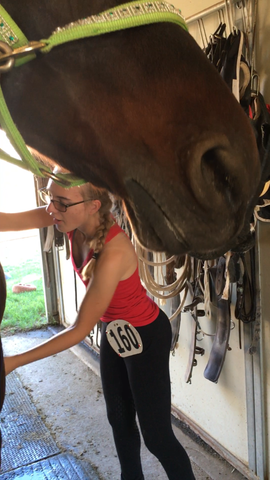 Horse Show magnetic number pins