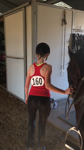 Horse Show magnetic number pins