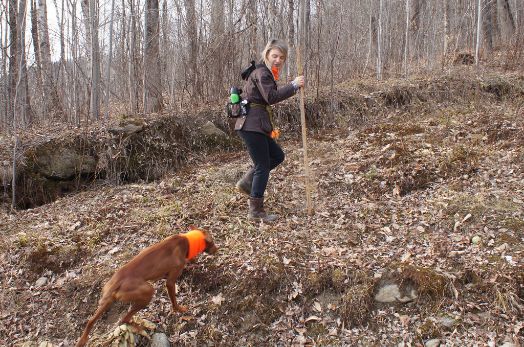 Don't lose your blur of fur! Keep your dog bright safe and visible with Turtle Fur. Stay Visible during hunting season in blaze orange, Glostik yellow and other neon hi vis colors.