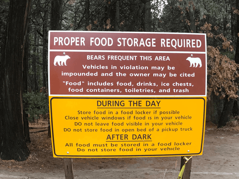 Bear Warning Sign