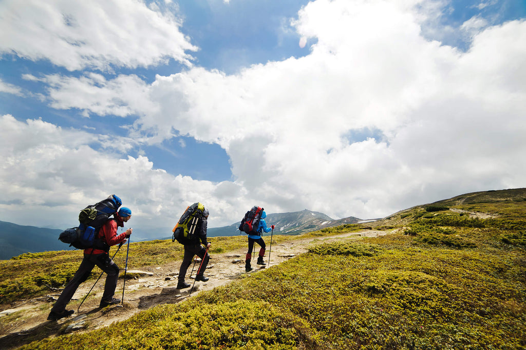 Trail Stewardship - Group Hiking