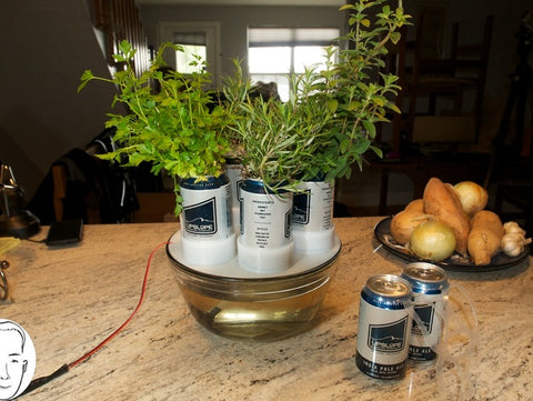 Beer Can Hydroponics