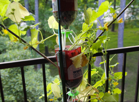 3d printed hydroponics